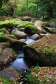 paysage 18_10_09n02